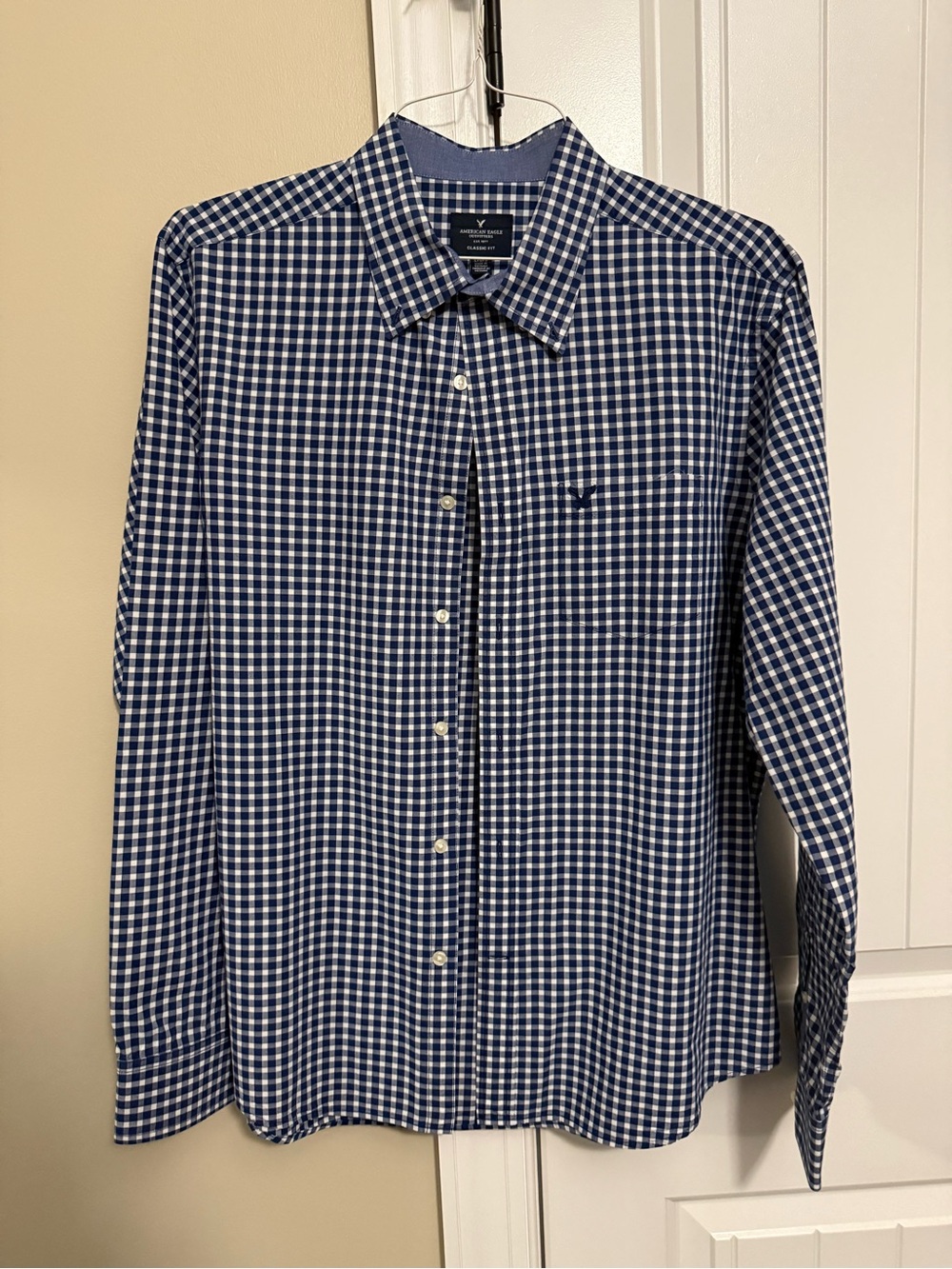 American Eagle Outfitters Blue and White Gingham Button-Down Shirt